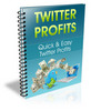 Thumbnail Twitter Profits MRR Thumbnail Twitter Profits MRR