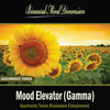 Thumbnail Mood Elevator (Gamma): Isochronic Tones Brainwave Entrainmen