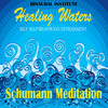 Thumbnail Schumann Meditation (Healing Waters: Self Help Brainwave Ent