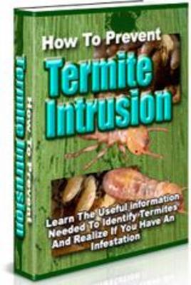 Product picture How To Prevent Termite Intrusion Learn The Useful Informatio