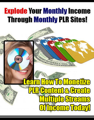 Product picture Explode Your Monthly Income Through Monthly PLR Sites with P