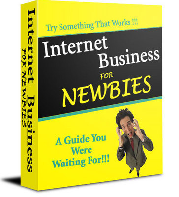 Product picture new Internet Business For Newbies with PLR