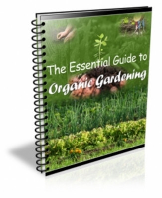 Product picture The Essential Guide to Organic Gardening With MRR