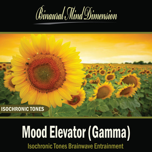 Product picture Mood Elevator (Gamma): Isochronic Tones Brainwave Entrainmen